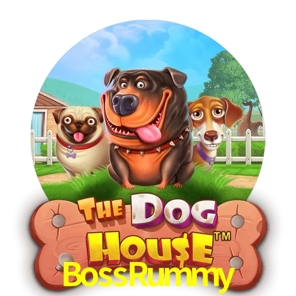 BossRummy — The Dog House slot | Play on Android APK & iPhone for real money | Pragmatic Play